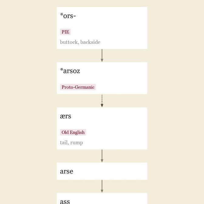 ass-hole-etymology-of-ass-hole-by-etymonline