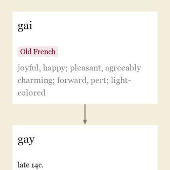 Origin and meaning of gay