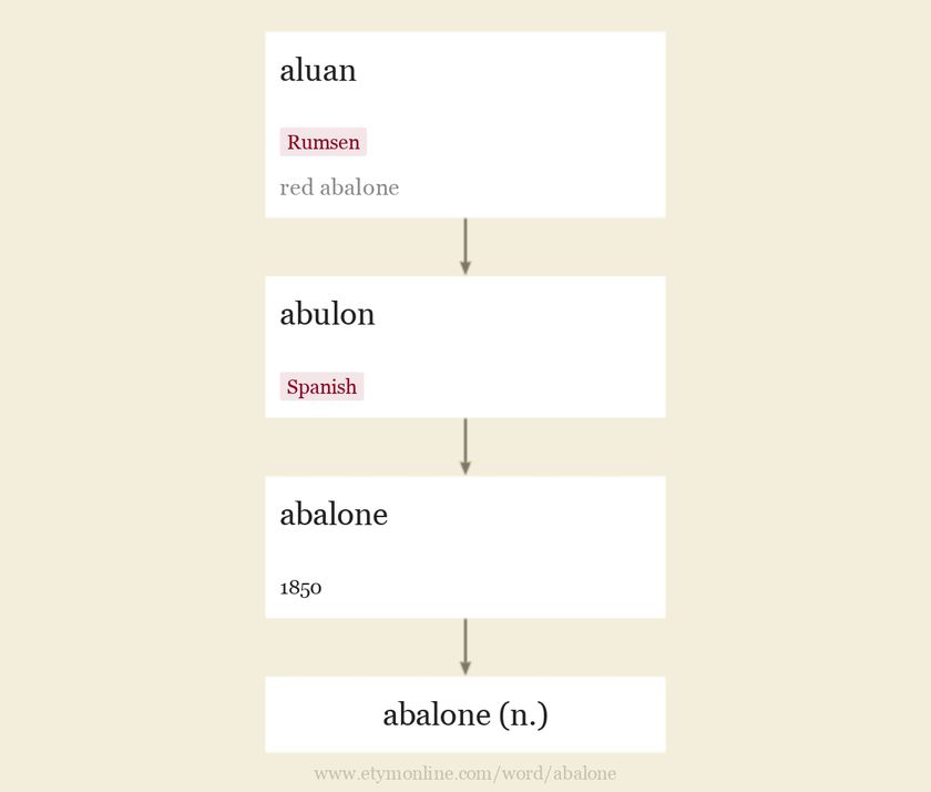 abalone