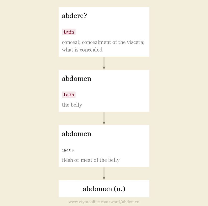Origin and meaning of abdomen