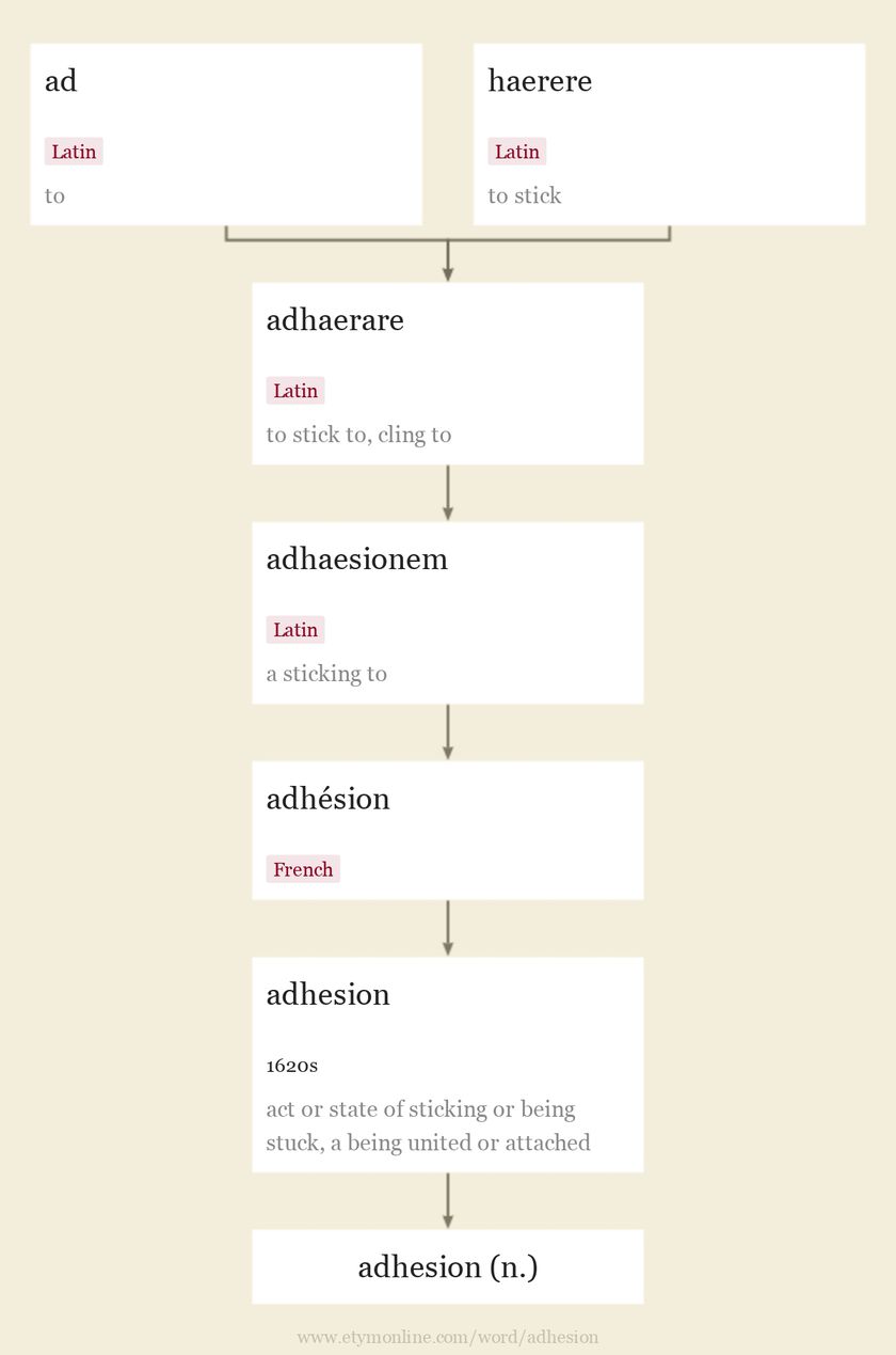 adhesion