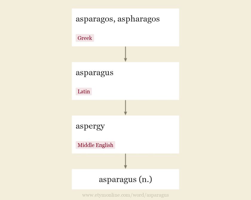 asparagus