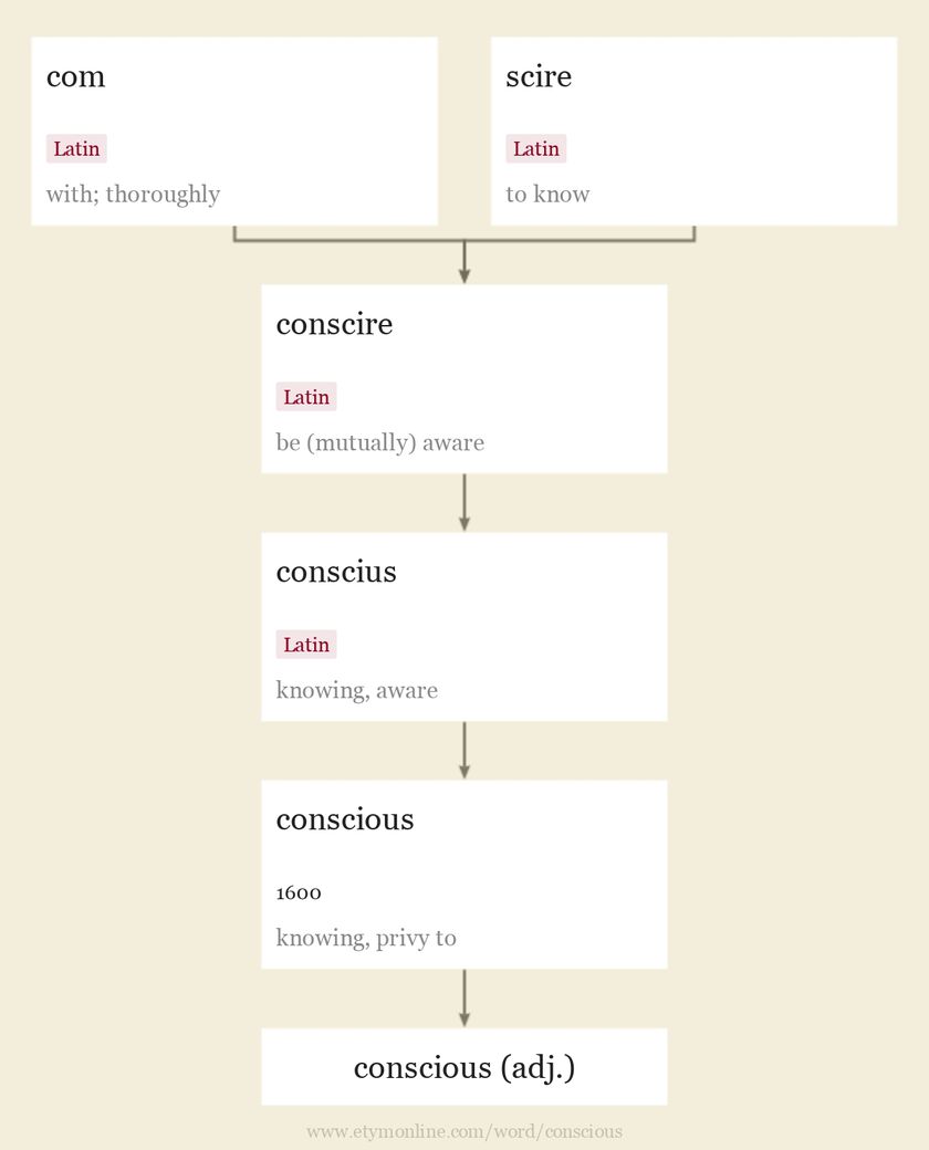 Conscious Origin And Meaning Of Conscious By Online Etymology Dictionary