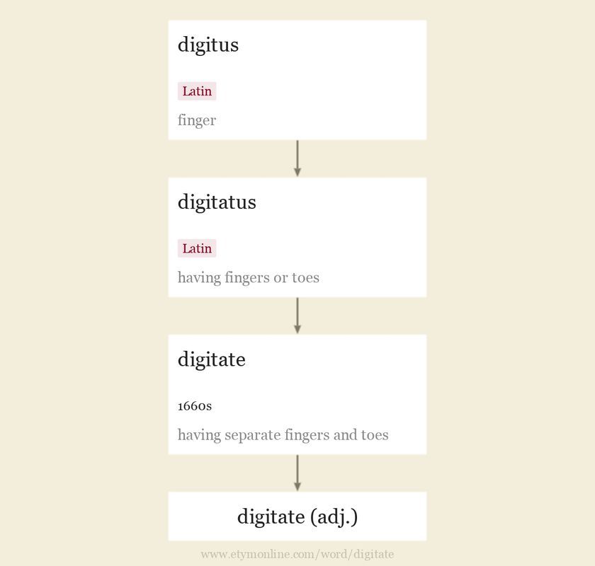 Origin and meaning of digitate