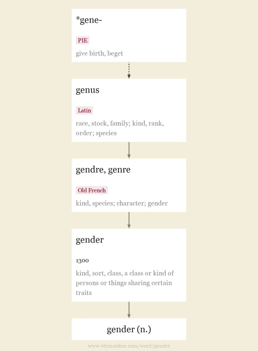 Gender Etymology Origin And Meaning Of Gender By Etymonline