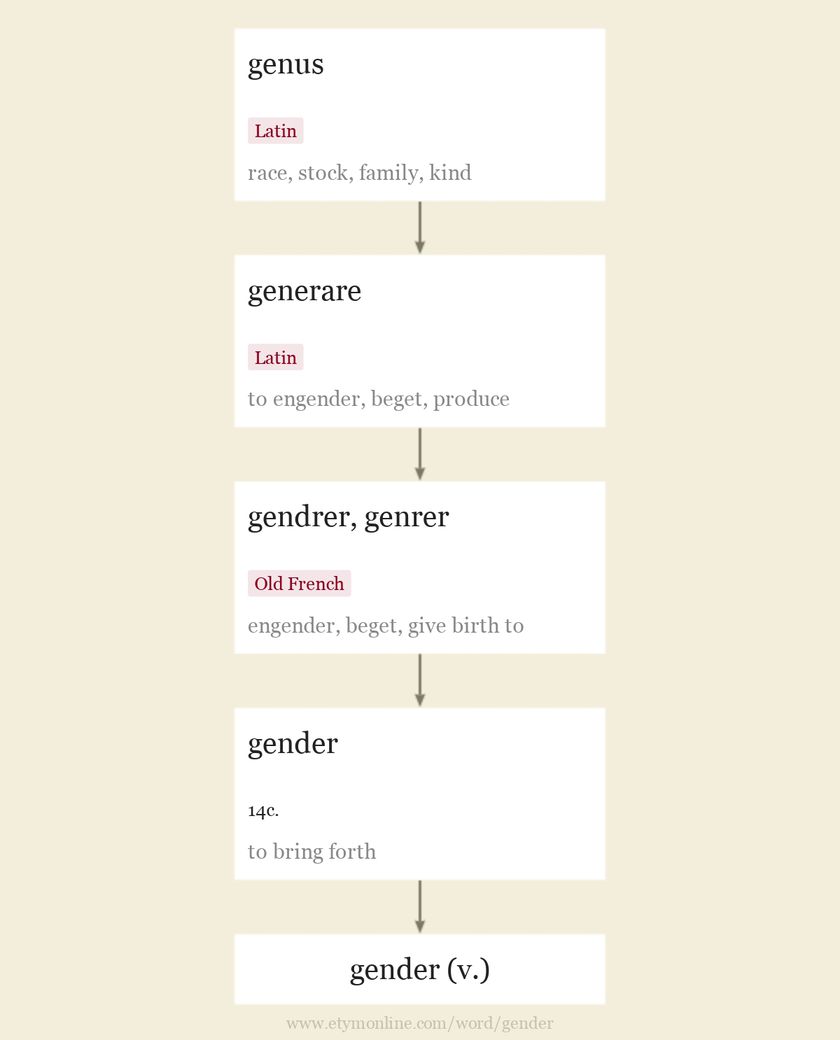 Gender Etymology Origin And Meaning Of Gender By Etymonline 6034