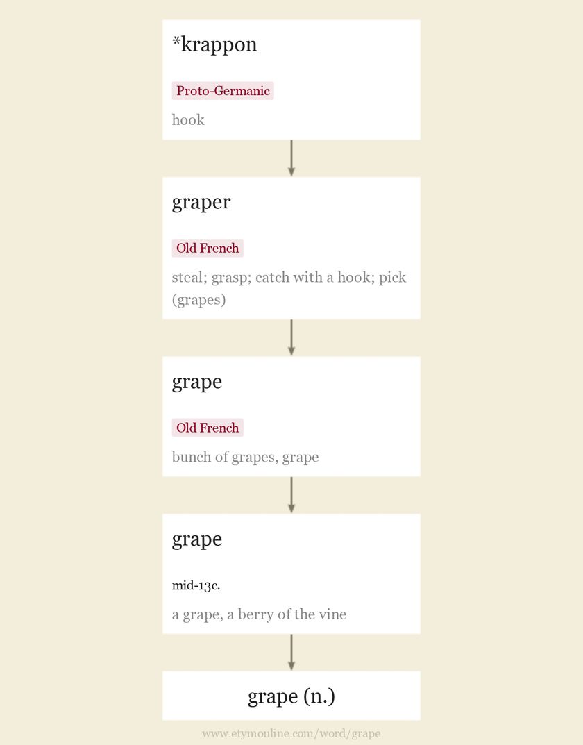 grape Origin and meaning of grape by Online Etymology Dictionary